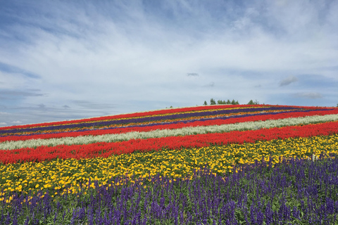 Hokkaido Full-Day Tour