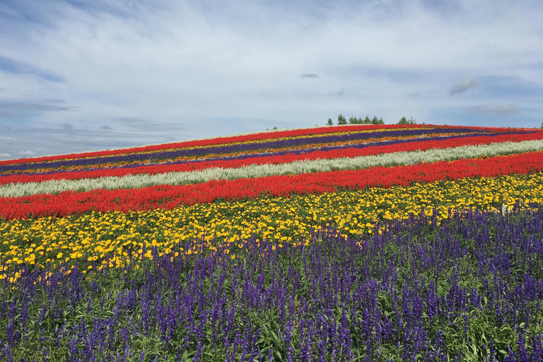 Hokkaido Full-Day Tour