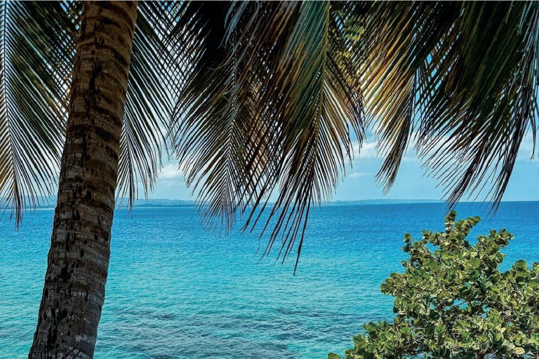 Puerto Rico: Cueva del Indio, Waterfalls, & Beach Tour