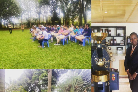 Nairobi: Tour della fabbrica e della fattoria del caffè con trasferimento