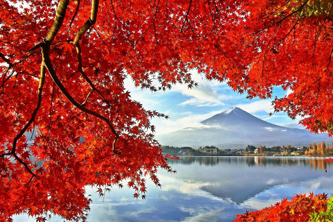 Desde Tokio: Excursión de Un Día al Teleférico del Lago Kawaguchi del Monte FujiEncuentro en la salida norte de Marunouchi de la estación de Tokio