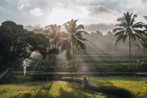 Tetebatu Waterfalls, Rice Terraces & Monkey Forest Day trip