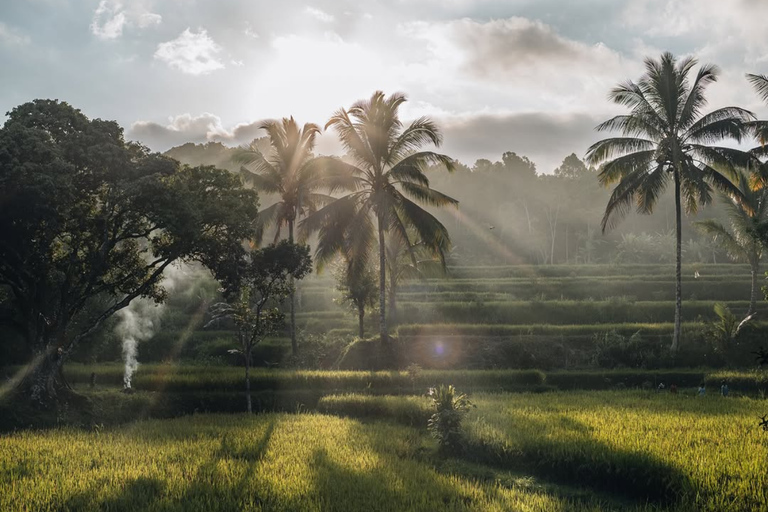 Tetebatu Waterfalls, Rice Terraces & Monkey Forest Day trip