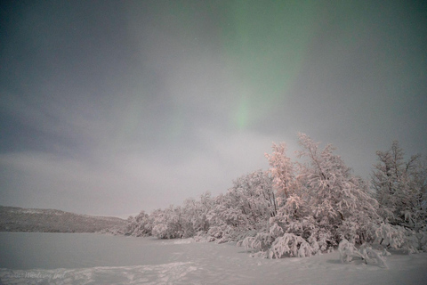 Adults Only Aurora Hunt with Snowshoeing in the wilderness