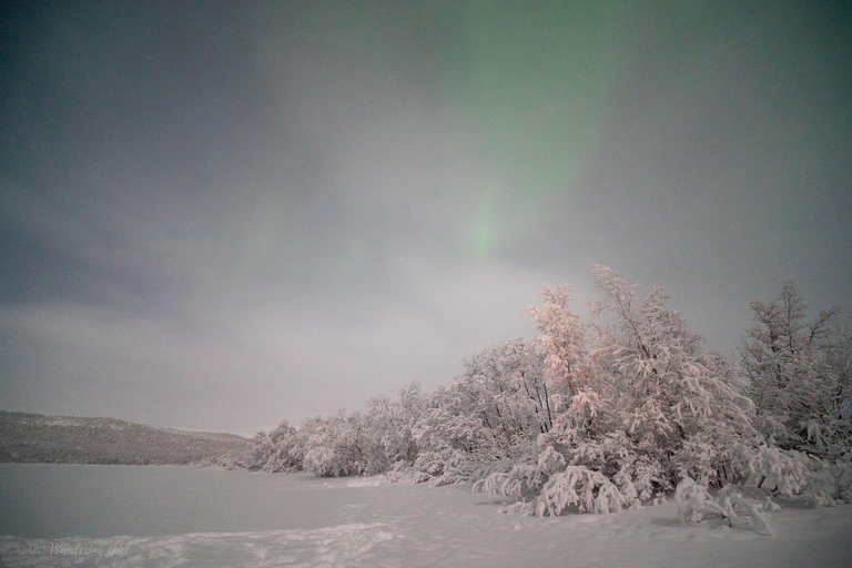 Adults Only Aurora Hunt with Snowshoeing in the wilderness