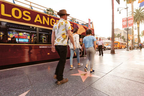 Los Angeles: Holiday Lights Tour & Rodeo Dr Walking Tour