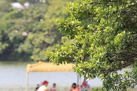 Hangzhou: Huizhou City & Xin'an River Private Day Trip