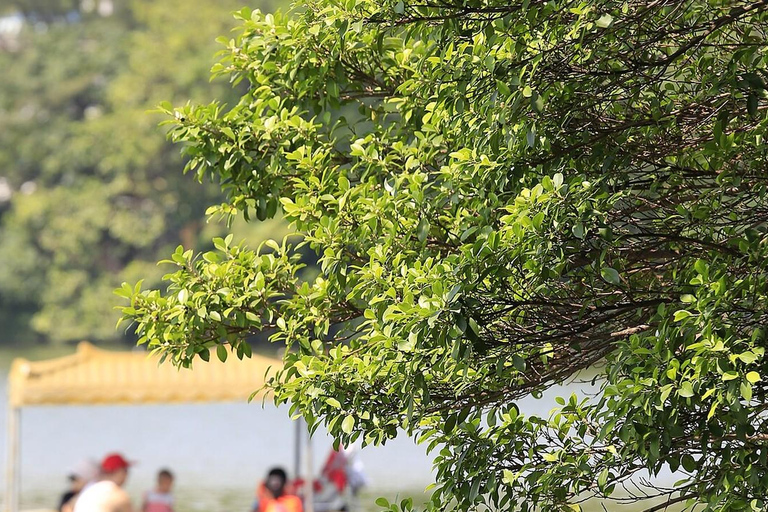 Hangzhou: Huizhou City & Xin'an River Private Day Trip