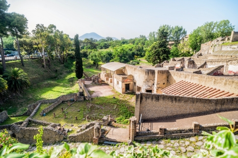 Pompeii: Small-Group Tour with an Archeologist Private Tour in Spanish