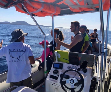 Tenerife: Whale Watching Boat Tour with a Marine Biologist