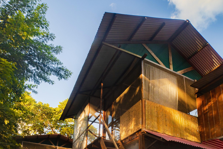 Tambopata Tour 2 days/1 night Sandoval Lake: nature and boat rides