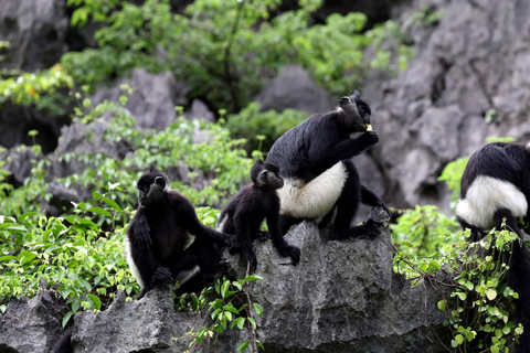 Hanoi: Ninh Binh Am Tien Cave or Trang An, Mua Cave & Hoa Lu Private Tour: Ninh Binh, Hoa Lu, Trang An, Mua Cave, Incense