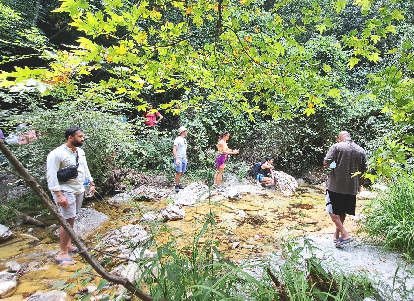 Fra Thessaloniki: Dagsudflugt til Dion og Mount Olympus Park