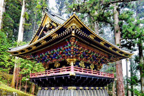 From Tokyo: Nikko Private Day Trip with Guide and Pickup