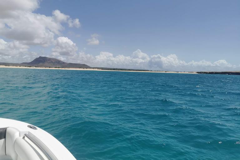 Prywatny czarter – połów ryb głębinowych w Boa Vista4 godziny wędkowania na głębokim morzu