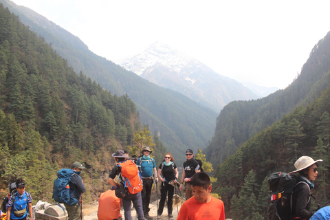 Everest-Hochpässe-Odyssee: Eine 15-tägige Trekking-Expedition