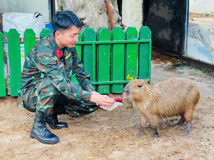Hô-Chi-Minh-Ville : Visite Guidée du Zoo et du Musée d'Histoire