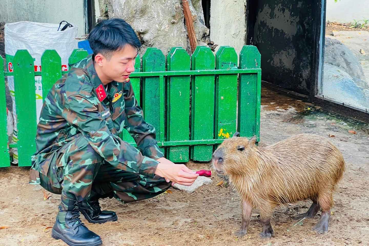 Ho Chi Minh City: Zoo & History Museum Guided Tour - Join Tour (English)
