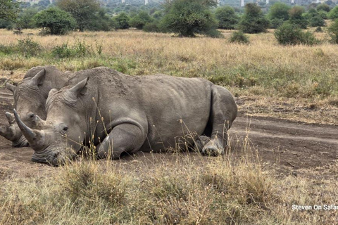 Nairobi National Park Game Drive Private half Day Tour