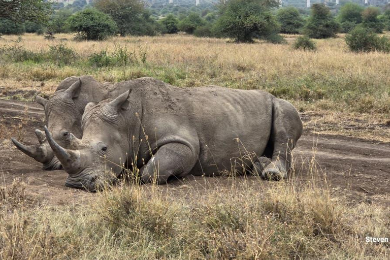 Nairobi National Park Game Drive Private half Day Tour