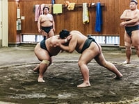Tokio, visita de entrenamiento matutino de Sumo - Hizvo
