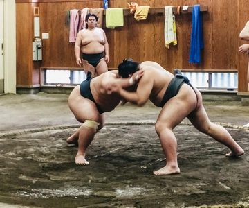 Tokyo: Sumo Morning Training Visit