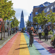 Reykjavik City - Half Day Private Tour