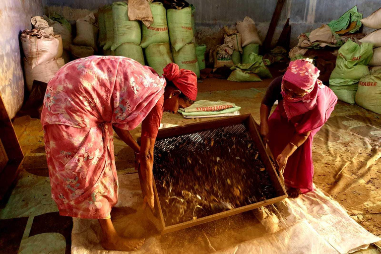 Hidden Tales of Old Kochi-Heritage Walk with a Local Insider