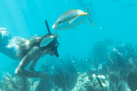 Kayak + Guided Snorkel & Morning Sail