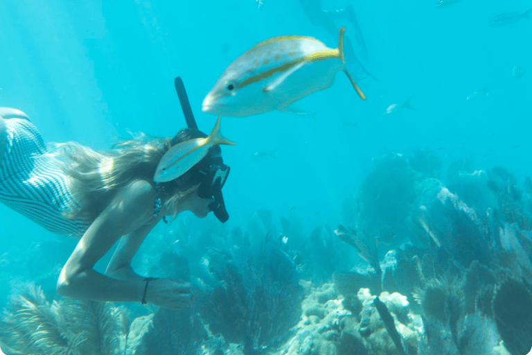 Kayak + Guided Snorkel & Morning Sail