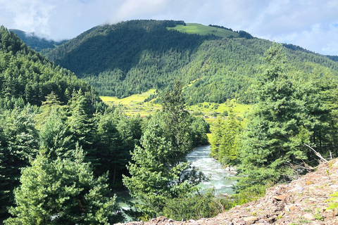 From Pokhara: 4-Day Dhorpatan & Bukipatan Trekking Tour