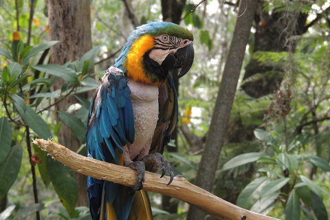 Depuis Medellín : Visite privée de 2 jours à Jardín avec activités