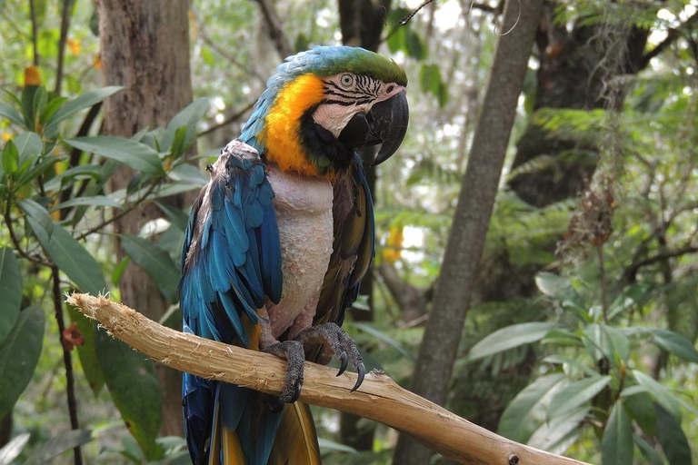 Desde Medellín: tour privado de 2 días a Jardín con actividades