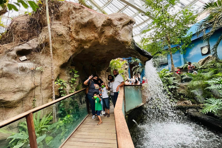 TOUR: "Dinosaur museum" with guide, transfer and tickets Monterrey: Desert Museum Tour