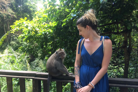 Ubud: foresta delle scimmie, terrazzamenti di riso e cascata