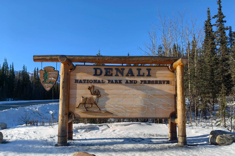 Denali Summer/ Qinter Trial Shuttle with Professional Camera