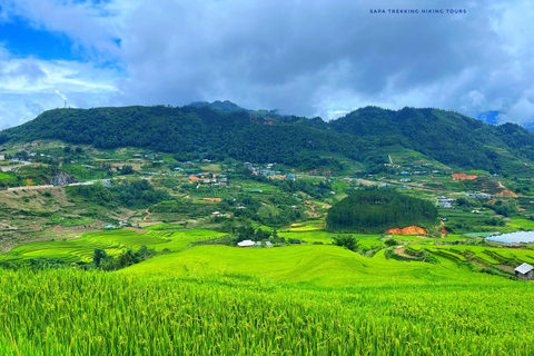 Randonnée dans le village de Red Dao et bain aux herbes