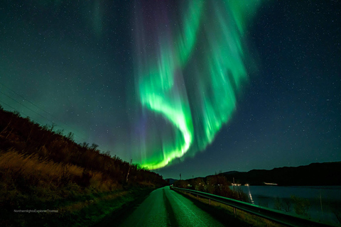 Tromsø : Excursion aux aurores boréales avec photos et combinaisons chaudes