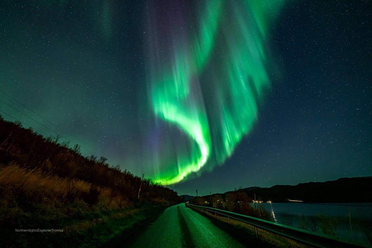 Tromsø: Tour dell&#039;aurora boreale con foto e tute calde