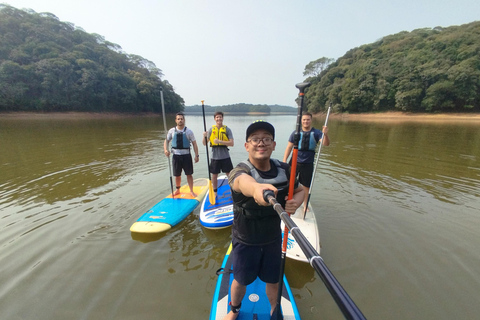 Experiencia de Paddleboarding y Barbacoa en el Embalse de Billings