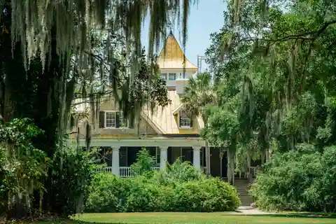Charleston: Magnolia Plantation com transporte e city tour