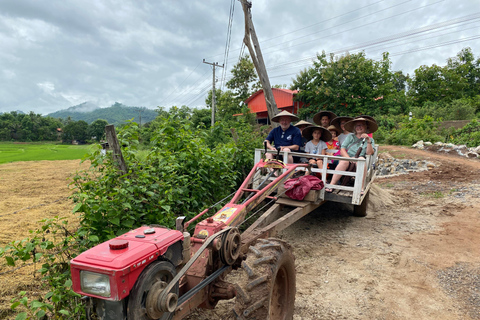 Luang Prabang: Rice Farm, Fishing & Picnic Experience