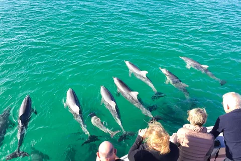 Kangaroo Island: 75-Minute Coastal Safari