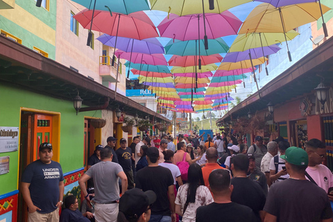 جولة غواتابي: ألتو ديل تشوتشو، وبيدرا ديل بينيول، والغداء، والمزيد