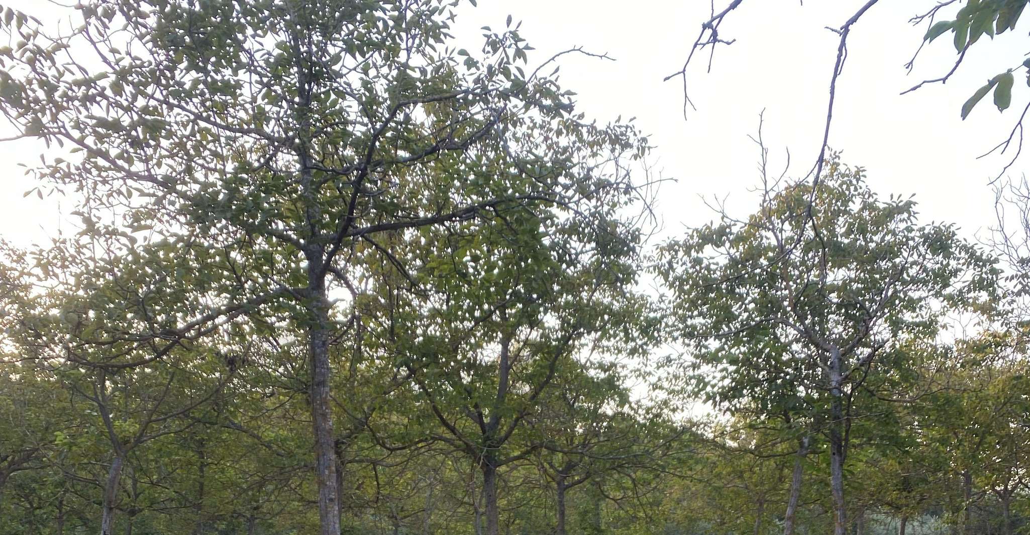 Molise: Pratica di Yoga immersi nella natura incontaminata
