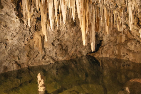 Secrets of Gibraltar: Siege & War Tunnels Shore Excursion