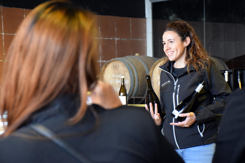Tarragona: Wine Cathedral Tour Wine, Cava and Food Tasting