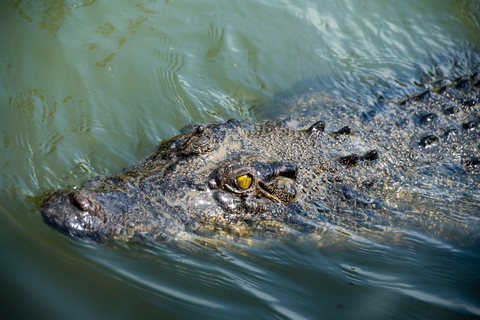 Matara: Wild Crocodile River Expedition