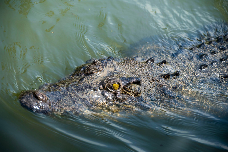 Matara: Wild Crocodile River Expedition