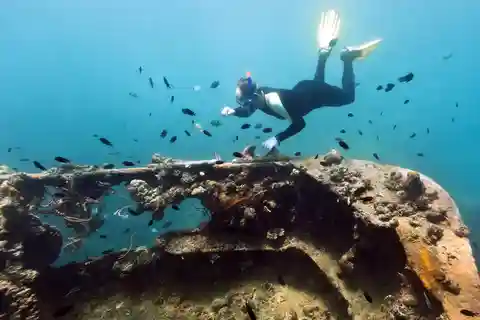 Coron Reef and Wrecks Tour (Private Tour)